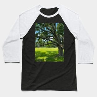 Stately Trees at Jean Lafitte National Historical Park  Louisiana Baseball T-Shirt